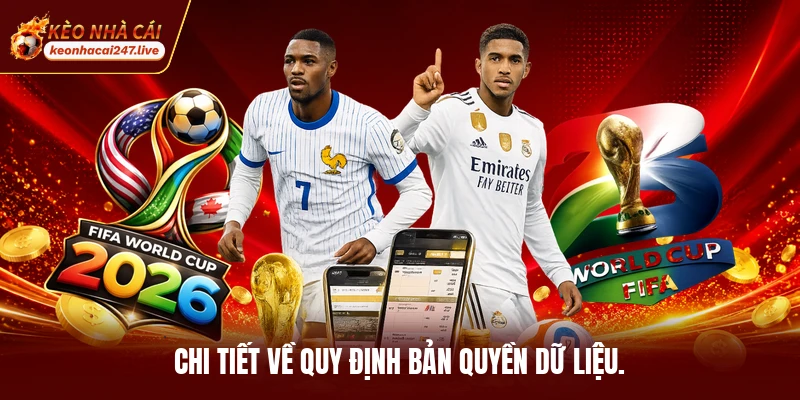 Chi tiết về quy định bản quyền dữ liệu