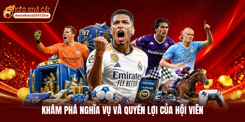 Khám phá nghĩa vụ và quyền lợi của hội viên