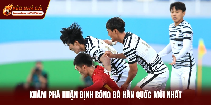 Khám phá nhận định bóng đá Hàn Quốc mới nhất