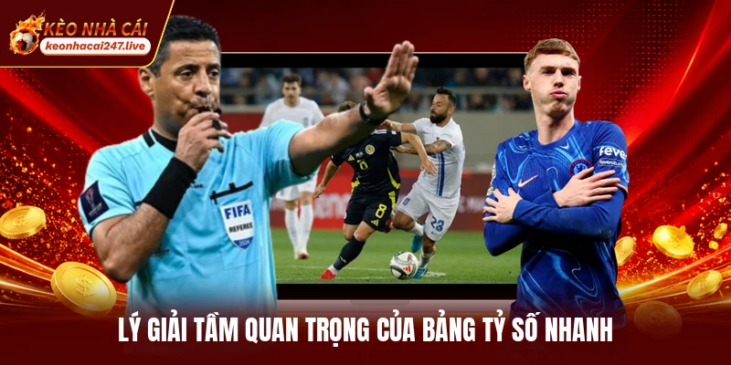 Lý giải tầm quan trọng của bảng tỷ số nhanh