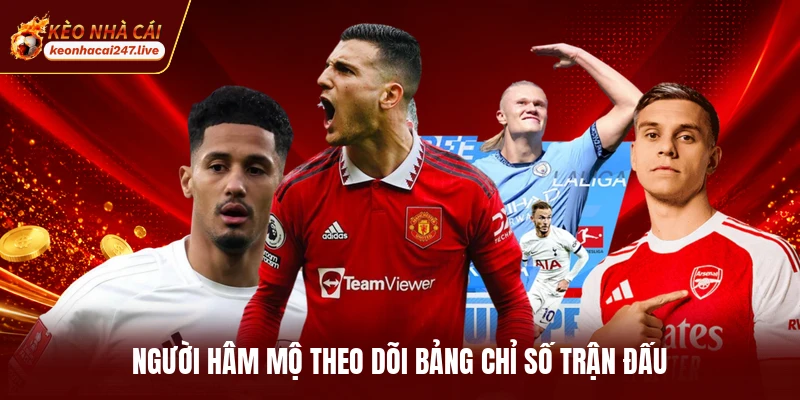 Người hâm mộ theo dõi bảng chỉ số trận đấu