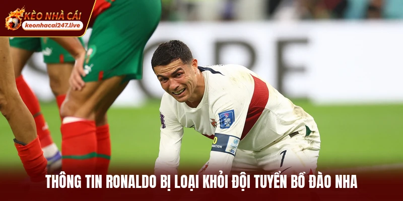 Thông tin Ronaldo bị loại khỏi đội tuyển Bồ Đào Nha