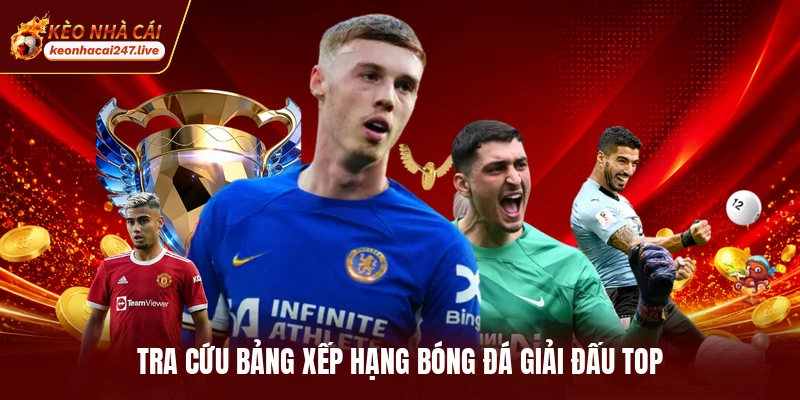 Tra cứu bảng xếp hạng bóng đá giải đấu top